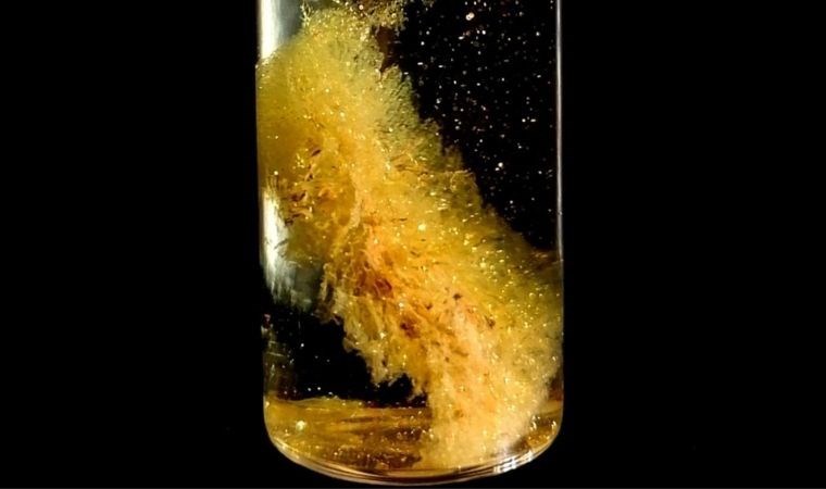 Bilim insanları elektronik atıkları servete dönüştürmenin yöntemini buldu