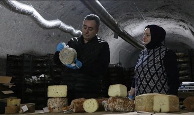 Kayadan oyma depolarda olgunlaştırılıyor! Yıllık 40 ton üretim… – Son Dakika Yaşam Haberleri | Cumhuriyet