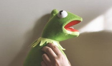 Ünlü kurbağa Kermit'in 270 milyon yıllık fosili bulundu – Son Dakika Bilim Teknoloji Haberleri | Cumhuriyet