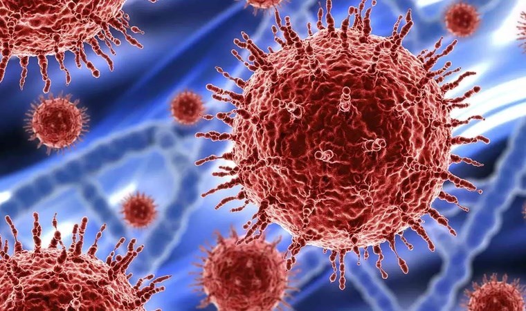 ‘Gizemli’ virüs hızla yayılıyor: ‘Vakaların yüzde 30’u ölümcül’