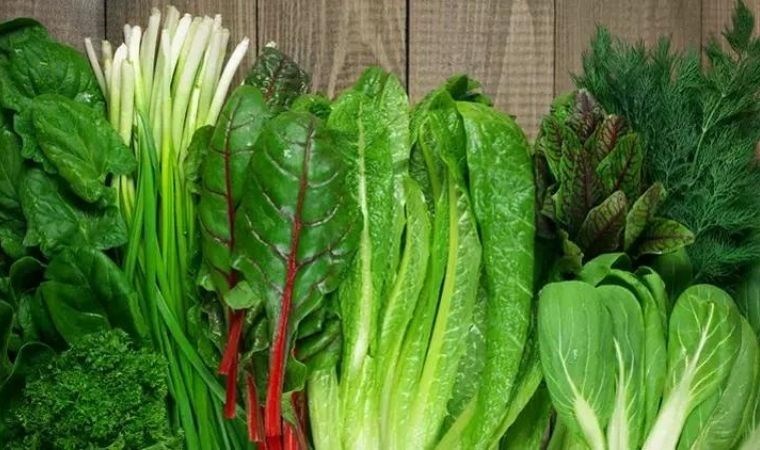 Bozulup çöpe atmaya son! İşte yeşillikleri uzun süre taze tutmanın yöntemleri…