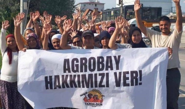 Agrobay İşçileri Ankara’ya yürüyecek