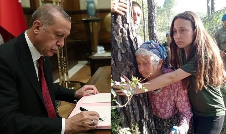 AKP’nin Muğla adayı Ayaydın, Erdoğan’ın Akbelen’de maden için kamulaştırma kararını ‘gözden geçirmesini’ istedi