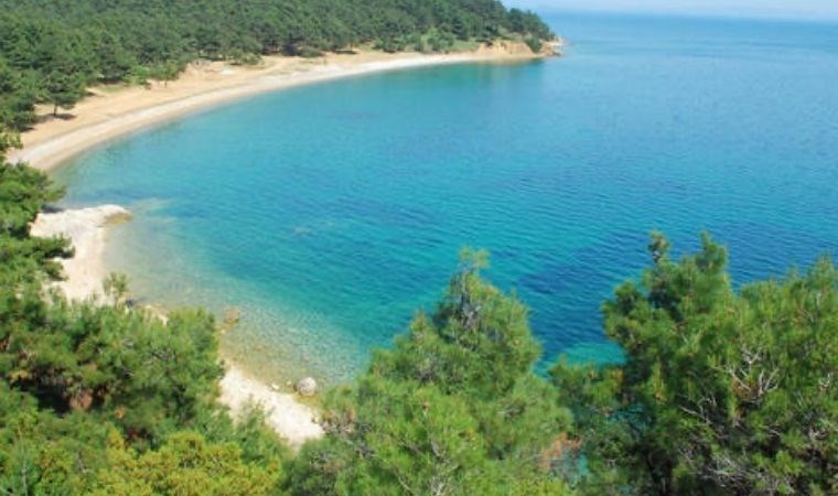 Saros Körfezi’nde denize sıfır arazi yapılaşmaya açıldı, yaşam savunucuları harekete geçti