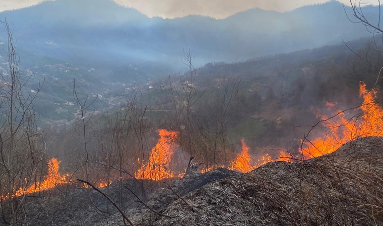 Artvin’de orman yangınında 1 hektar alan zarar gördü