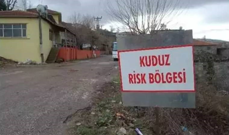 Uzmanlar Hatay için defalarca uyardı, umursanmadı ve felaket geldi: Dikkat kuduz var!