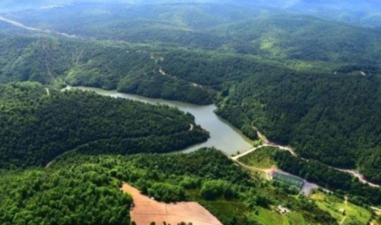 Adrese teslim talan: Beykoz’da ormanlık alanların da bulunduğu birçok alanın sit derecesi düşürüldü