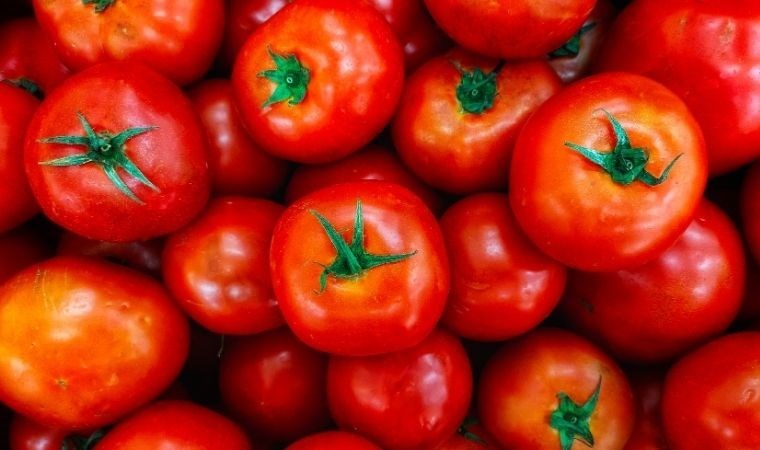 Domateslerde paralel evren bulundu