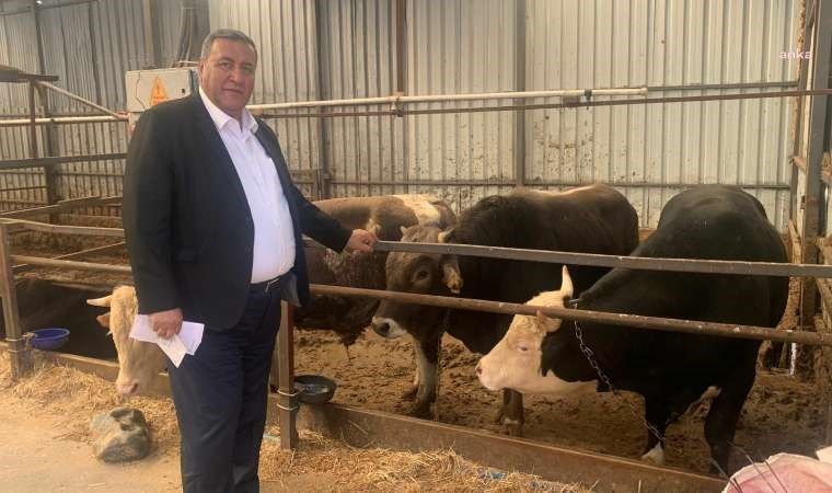 CHP Niğde Milletvekili Gürer’den Bakan Yumaklı’ya ‘ESK’ soruları