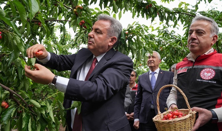 İzmir’de sezonun ilk hasadı başladı: İlk ürünler Katar’a gönderildi