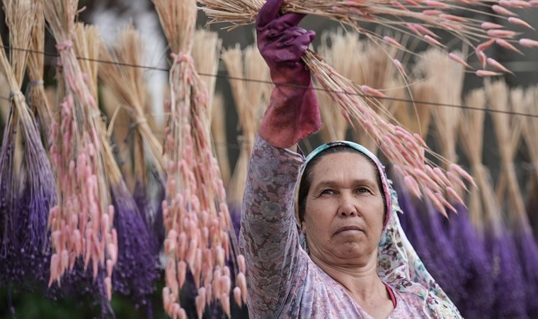 Köyün geçim kaynağı! Doğadan toplayıp yurtdışına gönderiyorlar…