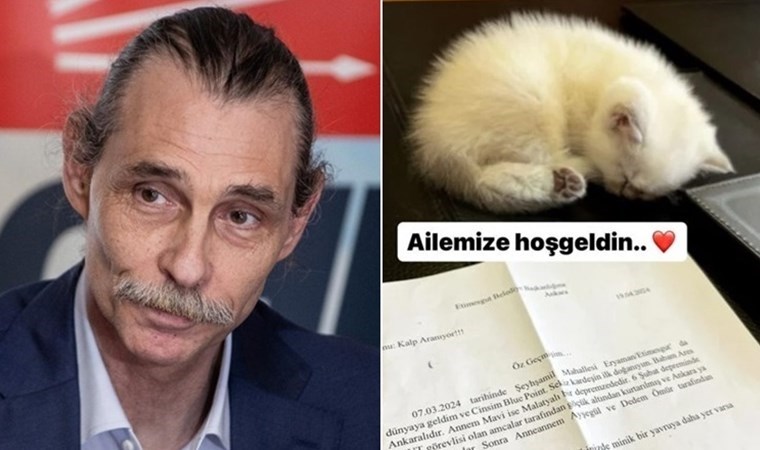 Erdal Beşikçioğlu depremzede kedinin yavrusunu sahiplendi