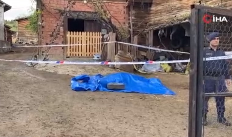 Su faturası için tartıştığı köy muhtarını öldürdü