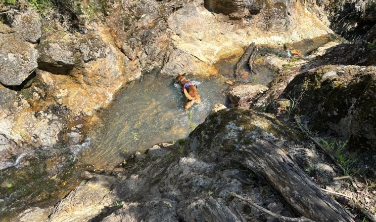 Korhan Berzeg’in kafatasına ait olduğu değerlendirilen parça bulundu