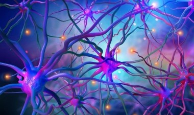 Üç boyutlu yazıcı hasarlı dokunun onarılmasını sağlayabilir – Son Dakika Bilim Teknoloji Haberleri | Cumhuriyet