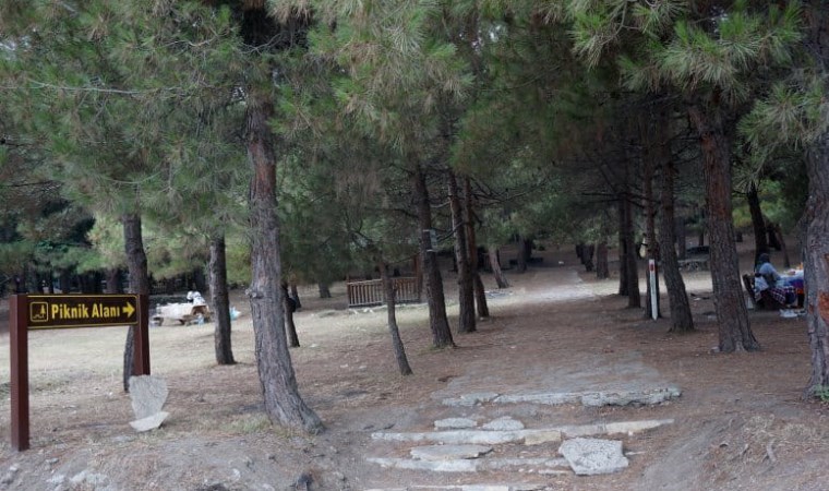 Taş ocağı için katliama tepki