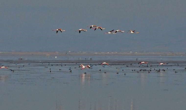 Marmara Gölü'nü kurtarma projesi: 9 Mayıs'ta ihaleye çıkacak