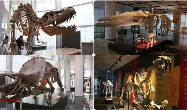 Biyoçeşitlilik Bilim Müzesi açılışa hazırlanıyor