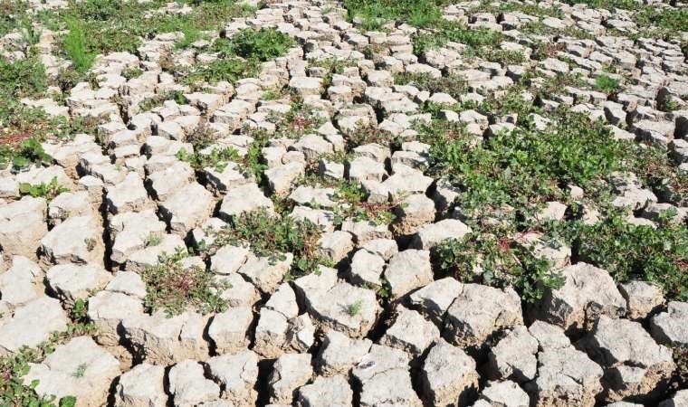 Marmara Gölü’nü kurtarma projesi: 9 Mayıs’ta ihaleye çıkacak