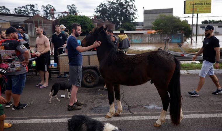 Çatıda mahsur kalan at kurtarıldı… Selde ölü sayısı 107’ye yükseldi!