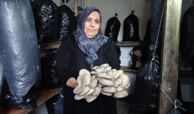 5 metrekare alanda üretime başladı! 150 kilo ürün alacak…