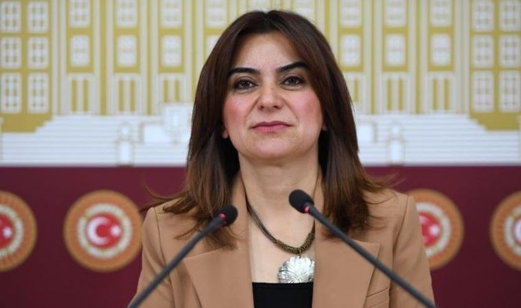 DEM Partili Koçyiğit: AKP’ye değil yeni anayasa yapmaya bir şans vermeli