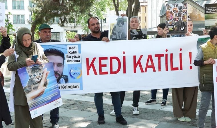 Beyazıt Meydanı’nda kedi ölümlerine protesto