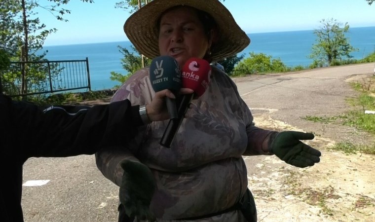 ÇAYKUR’un 18 fabrikasında çay alımını durdurmasına üretici isyan etti: Çayın fiyatı belli değil, özel sektör ne yapacak belli değil