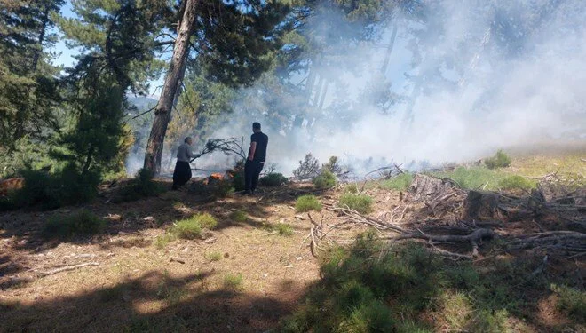 Adana’nın Feke İlçesindeki Orman Yangını Kontrol Altına Alındı