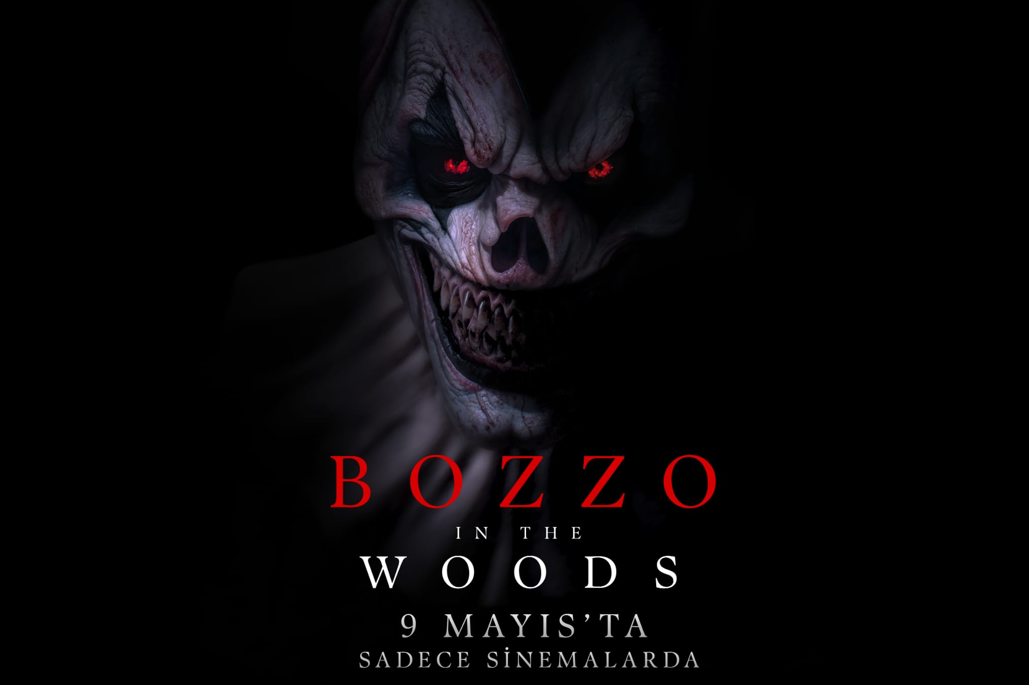 Bozzo in the Woods: Yönetmen ve Oyuncu Kadrosu