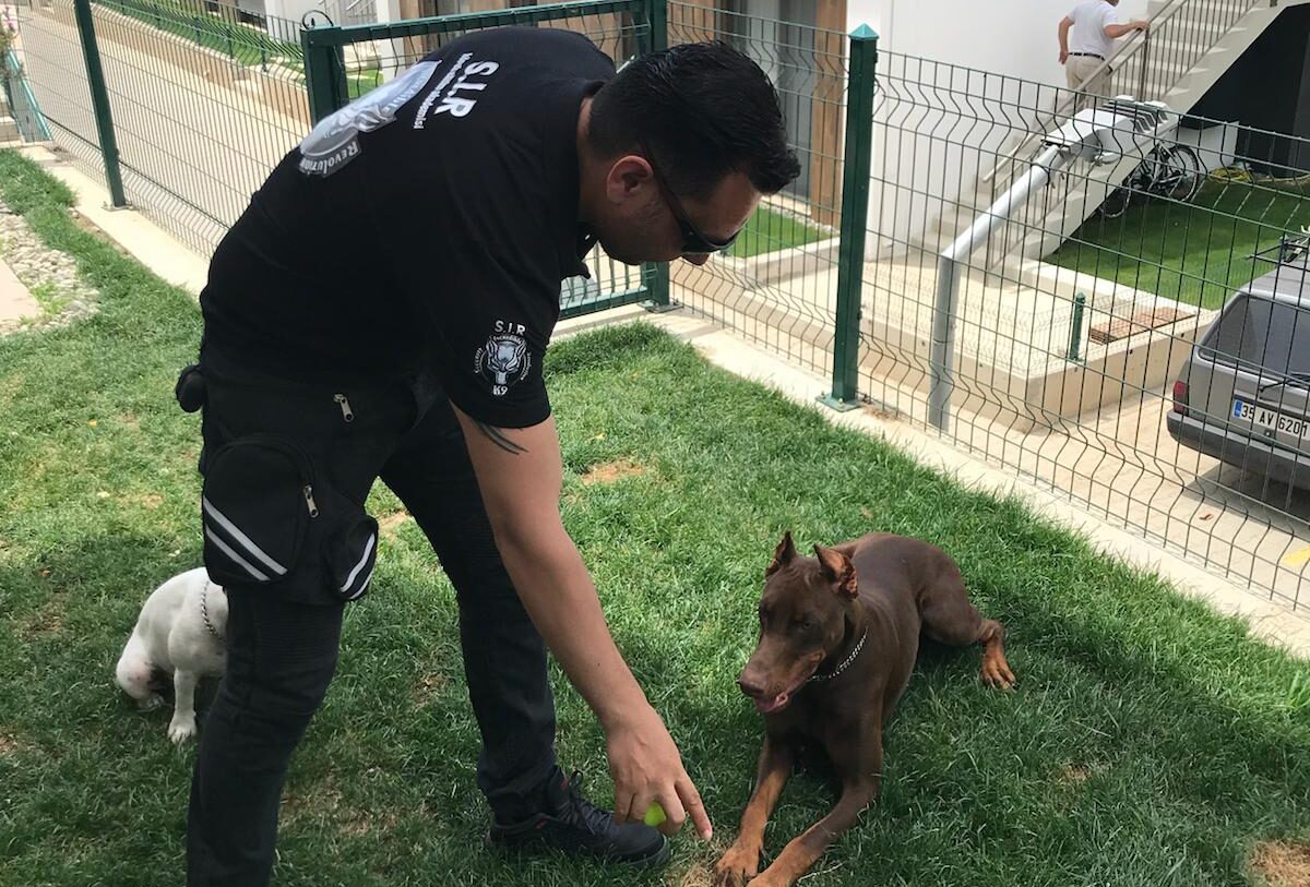 Çevrimiçi Eğitim ve Danışmanlık: S.I.R K9 ile Eğitime Her Yerden Erişim