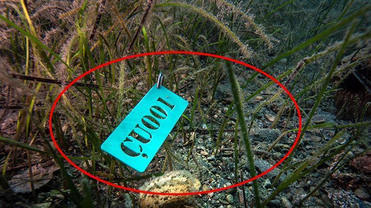 PİNA-İZ PROJESİYLE BEBEK PİNA SAYISI 10’A ULAŞTI