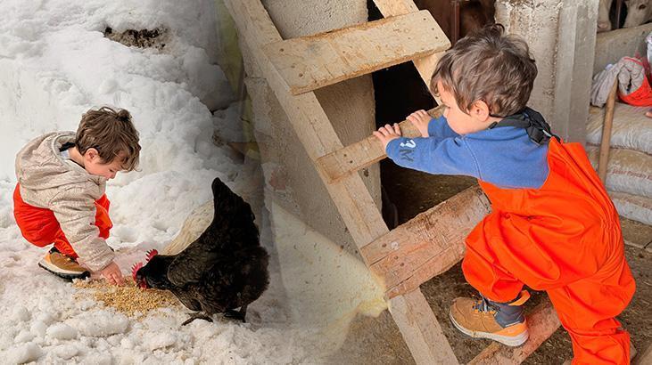 Tunceli’de Küçük Çiftçi: Güneş, Köy Hayatıyla Büyüyor
