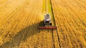 TÜİK: Tarım ÜFE Mart 2026’da Yıllık %36,09 Arttı