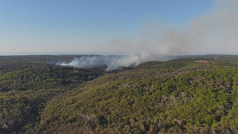 Beykoz’da Orman Yangını: Kontrol Altına Alındı, Rüzgârla Yeniden Alevlendi