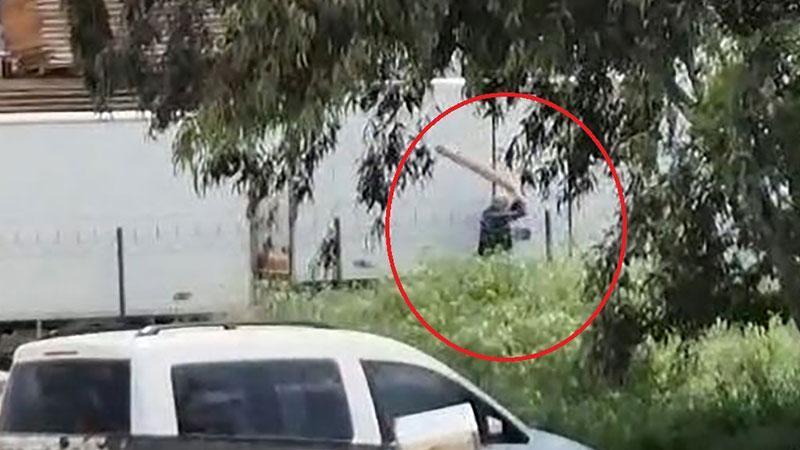 Yüreğir’de Köpeğe Şiddet Görüntüsü Tepki Çekti: Şüpheli Gözaltında