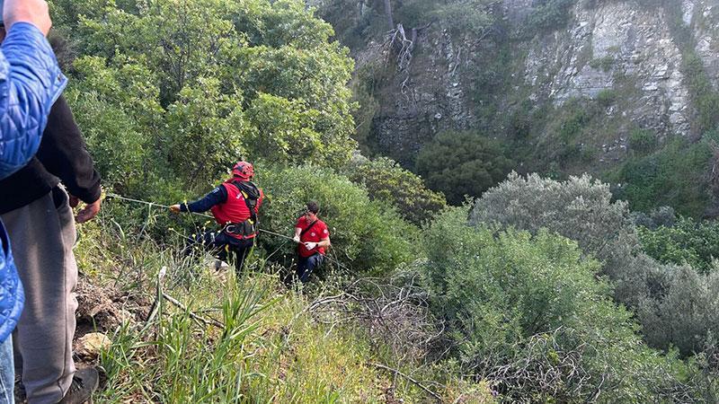 Ayvacık’ta Korkunç Kaza: Otomobil Uçuruma Yuvarlandı