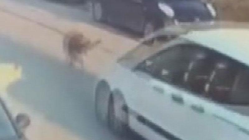 Tepki çeken görüntüler sonrası yakalandı! Köpeğin ölümüne neden olan sürücü tutuklandı
