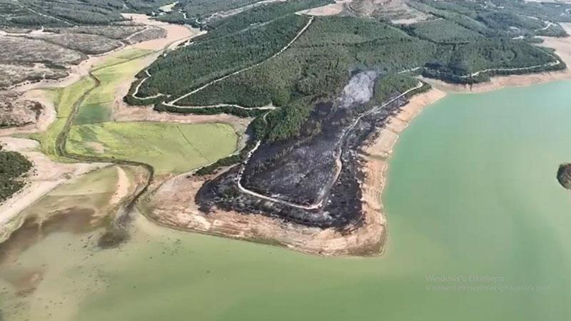 Malkara’daki orman yangınında 80 dekar alan zarar gördü