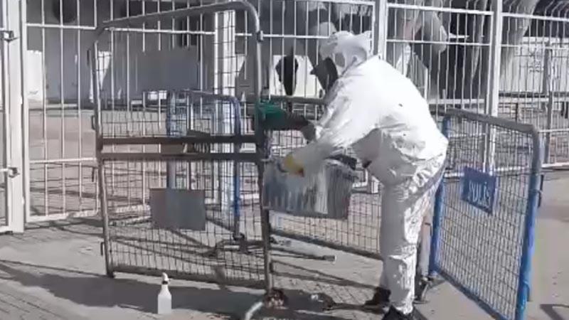 Maç öncesi arı alarmı: Polis arıları güvenli bölgeye taşıdı